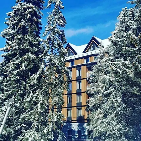 Apartment Woodside 315 Kopaonik